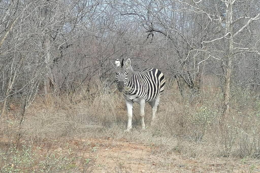 Amukela Kaya Villa Hoedspruit Eksteriør bilde