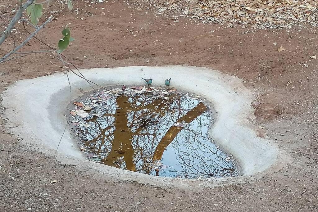 Amukela Kaya Villa Hoedspruit Eksteriør bilde