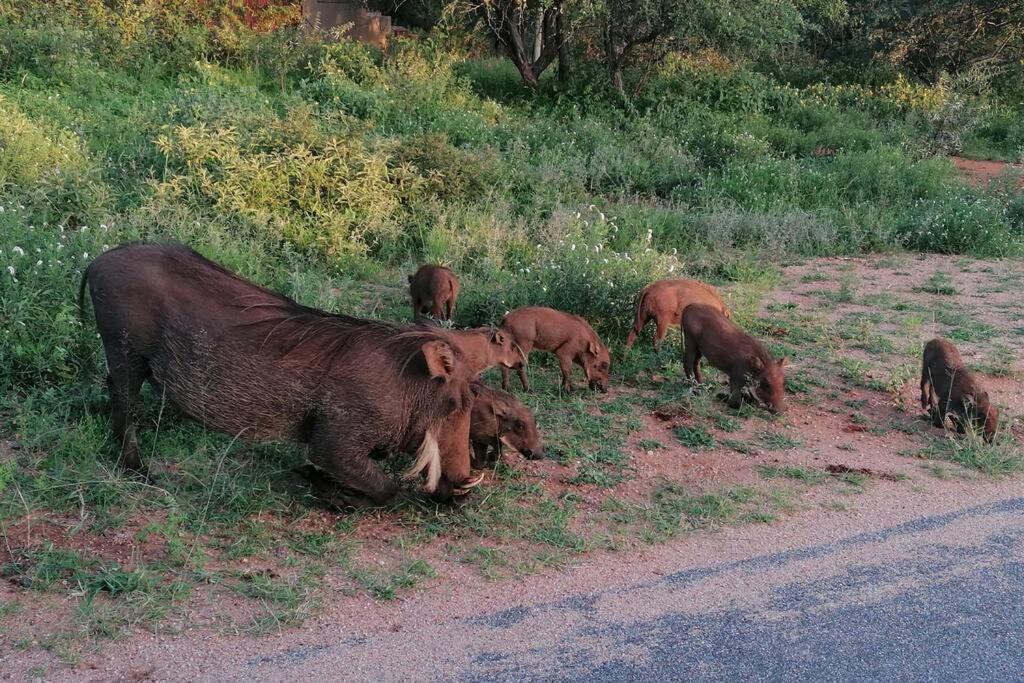 Amukela Kaya Villa Hoedspruit Eksteriør bilde