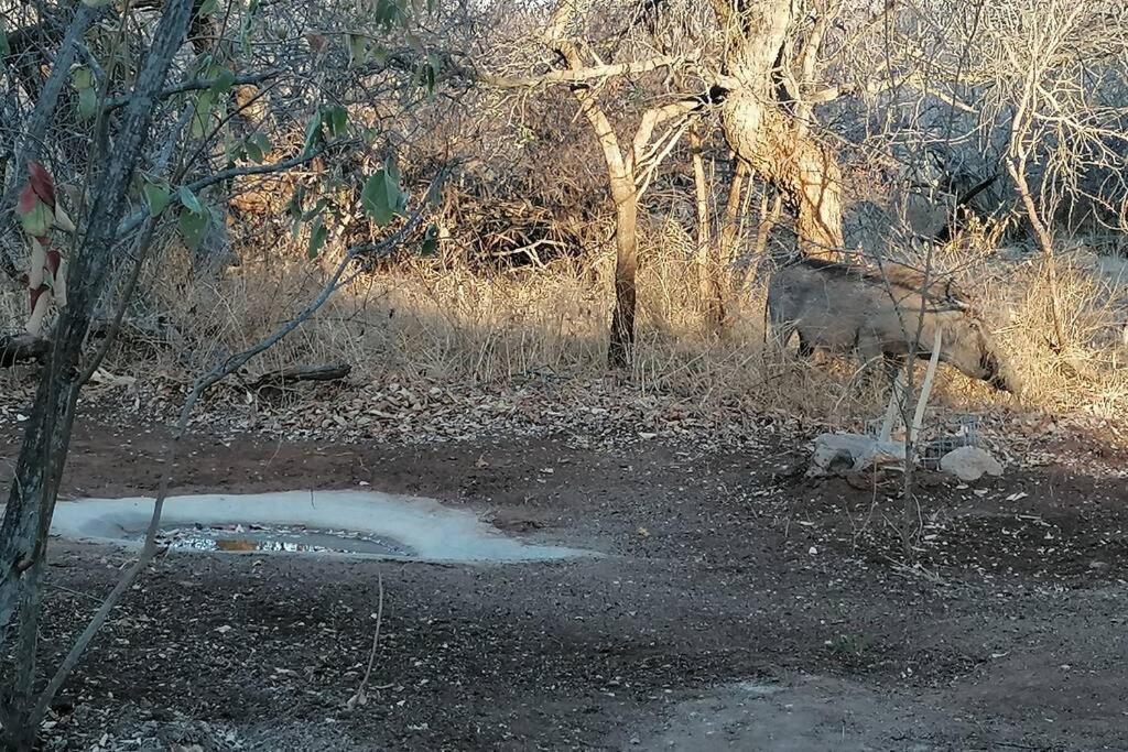Amukela Kaya Villa Hoedspruit Eksteriør bilde